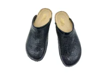 Black snake Lacqured 20221005 144936