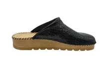 Black snake Lacqured 20221005 144958