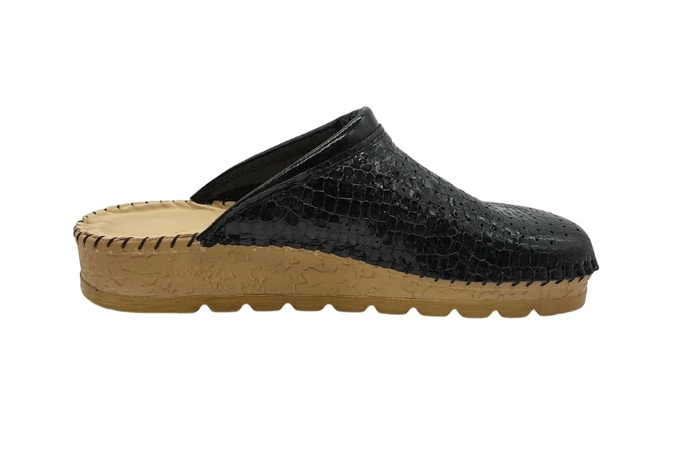 Black snake Lacqured 20221005 144958