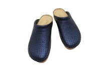 Metalic Blue 20221005 123601