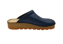 Metalic Blue 20221005 123705