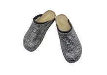 Silver Gepard 20221005 145141