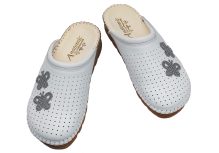 bijela prisivak leptiri 2