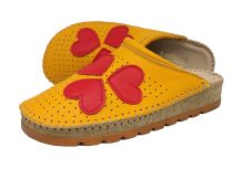 200 Turmeric, srca 1