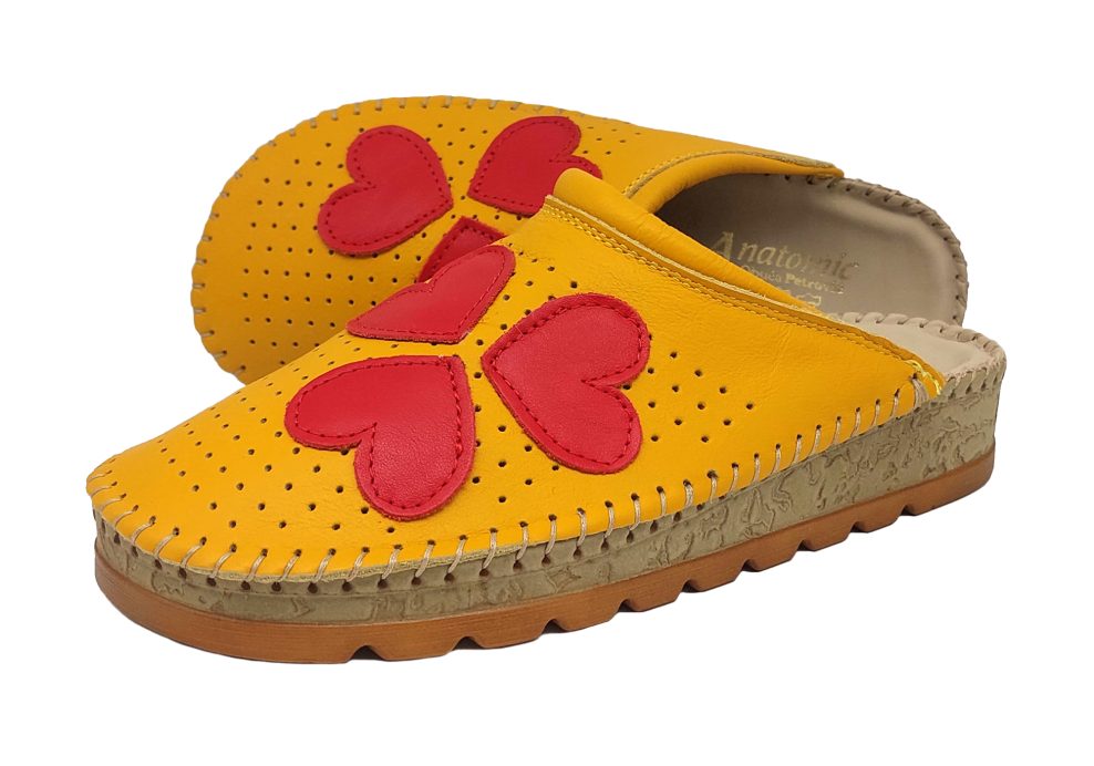 200 Turmeric, srca 1