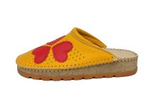 200 Turmeric, srca 2