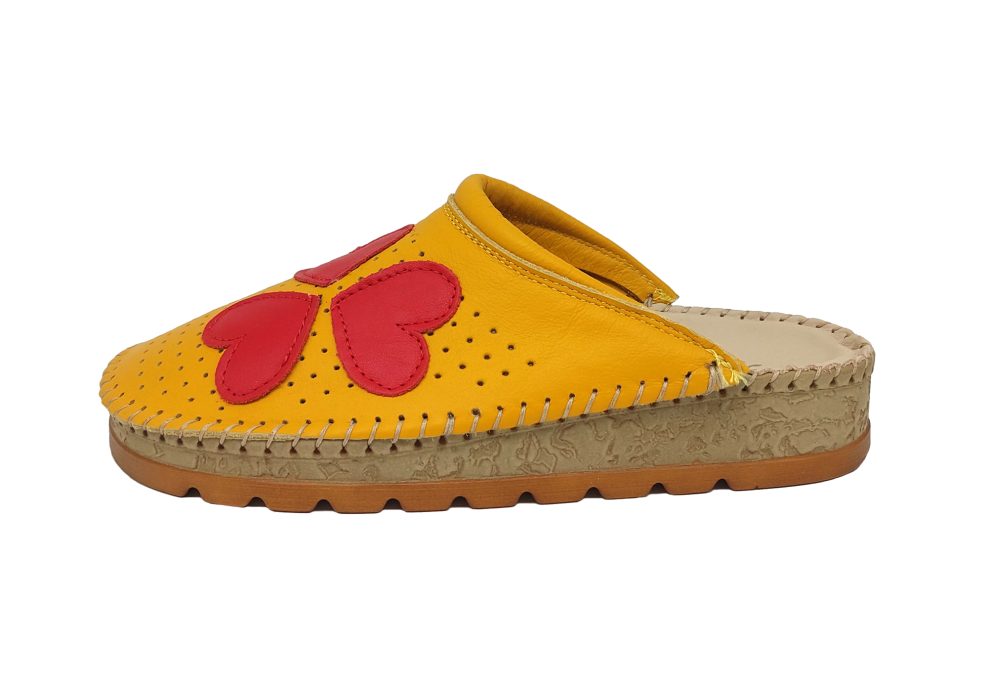 200 Turmeric, srca 2