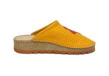 200 Turmeric, srca 3