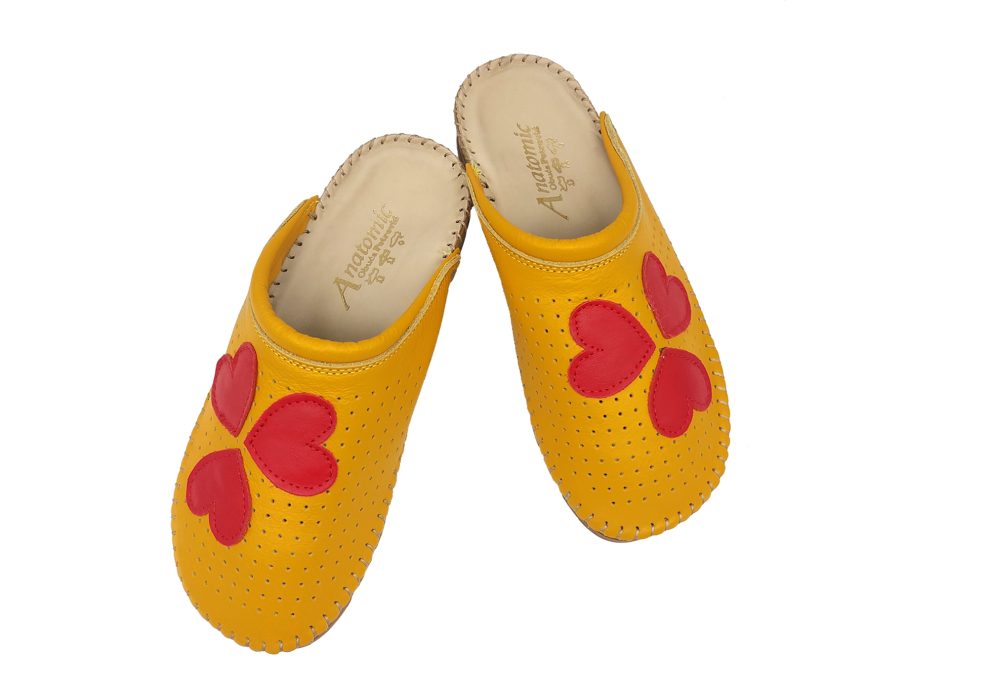 200 Turmeric, srca 4