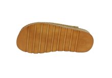 200 Turmeric, srca 5