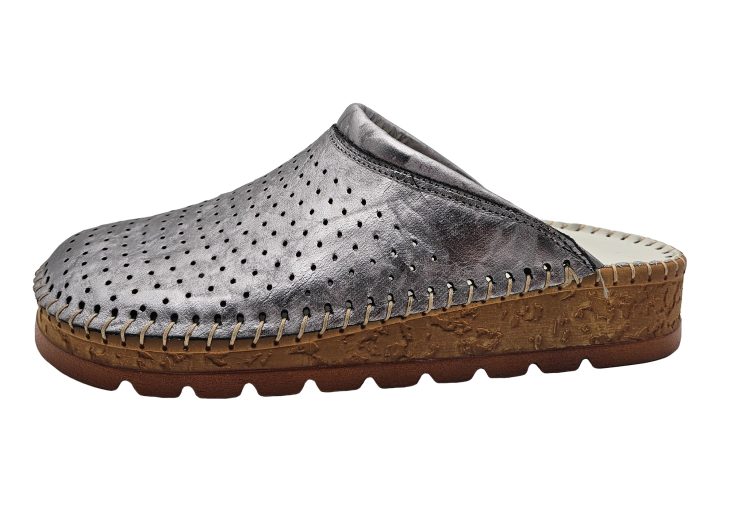 200 srebrna prošarana 1