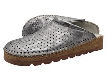 200 srebrna prošarana 2