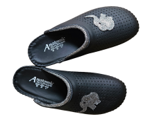 20260216 093044 Photoroom