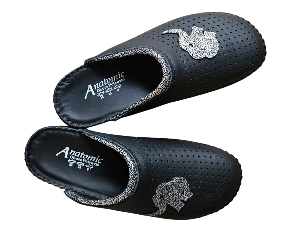 20260216 093044 Photoroom