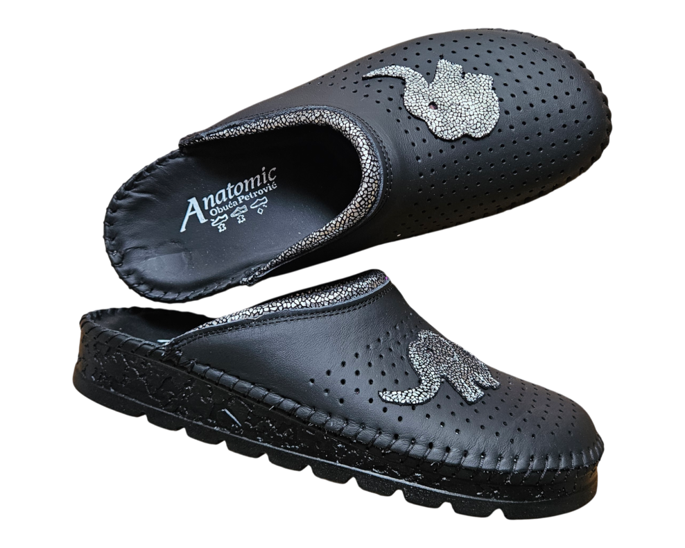 20260216 093049 Photoroom