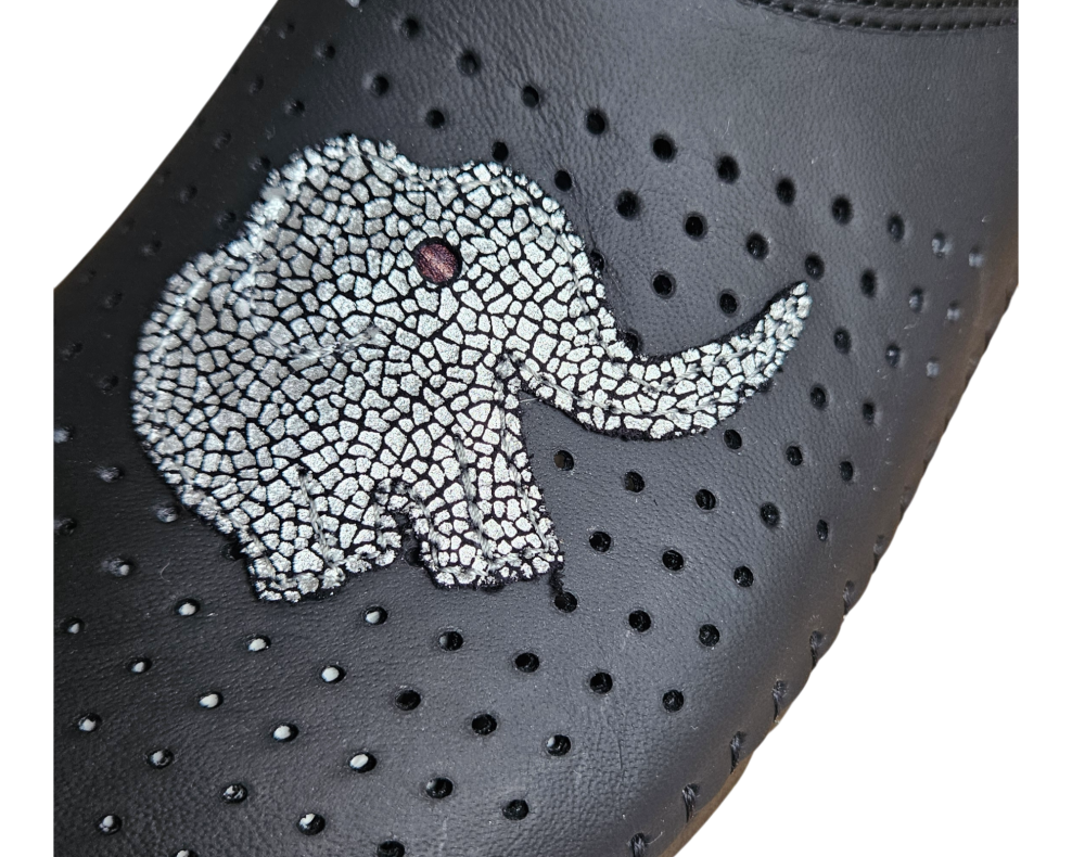 20260216 093123 Photoroom