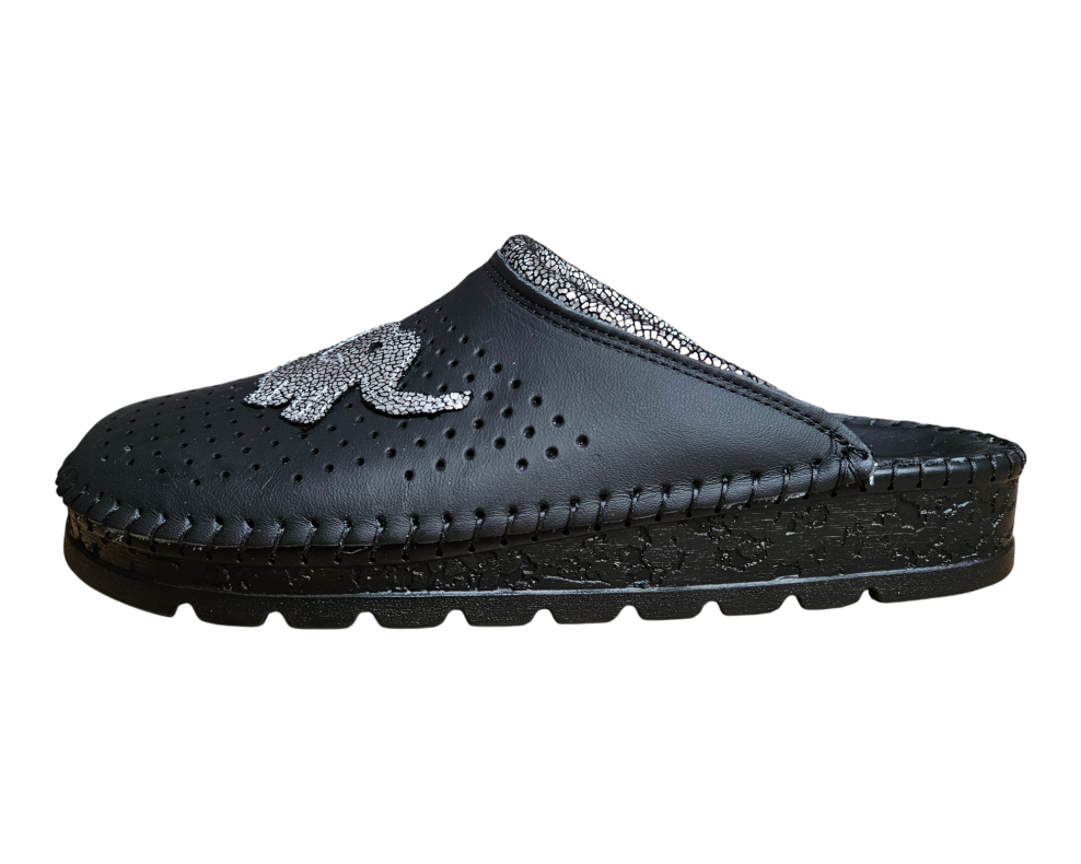 20260216 093128 Photoroom