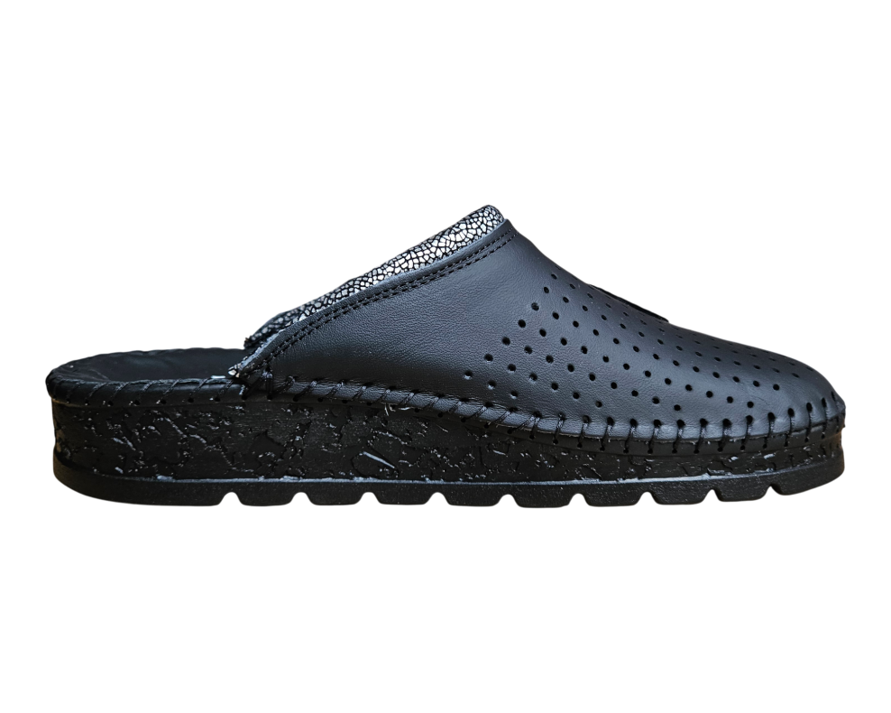 20260216 093133 Photoroom