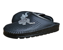 20260216 093144 Photoroom