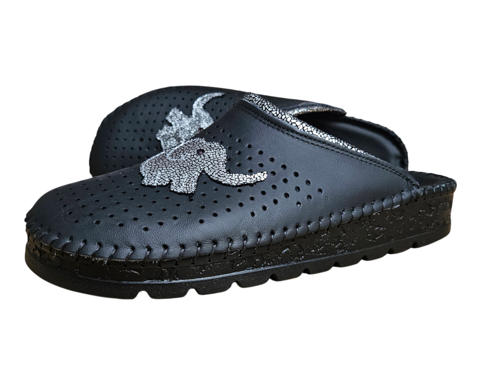 20260216 093144 Photoroom