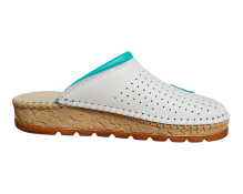 20260216 093421 Photoroom