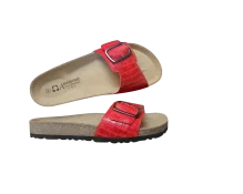 20260309 083600 Photoroom