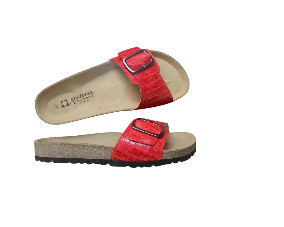 20260309 083600 Photoroom