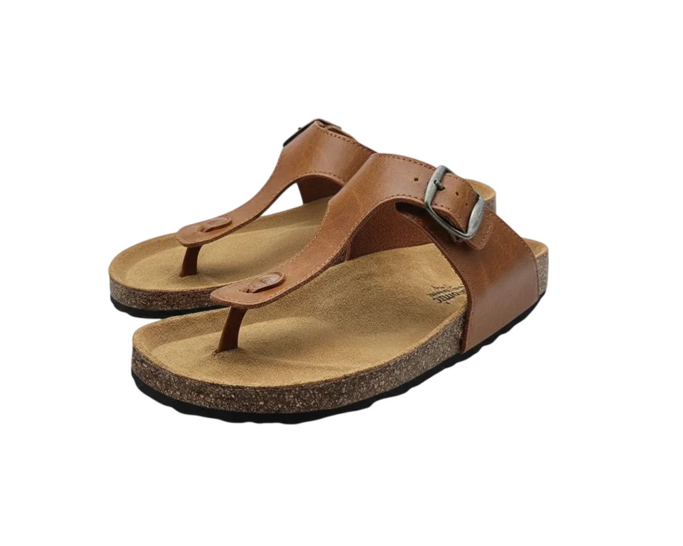 703 konjak smeđa, bez cvijeta Photoroom Photoroom