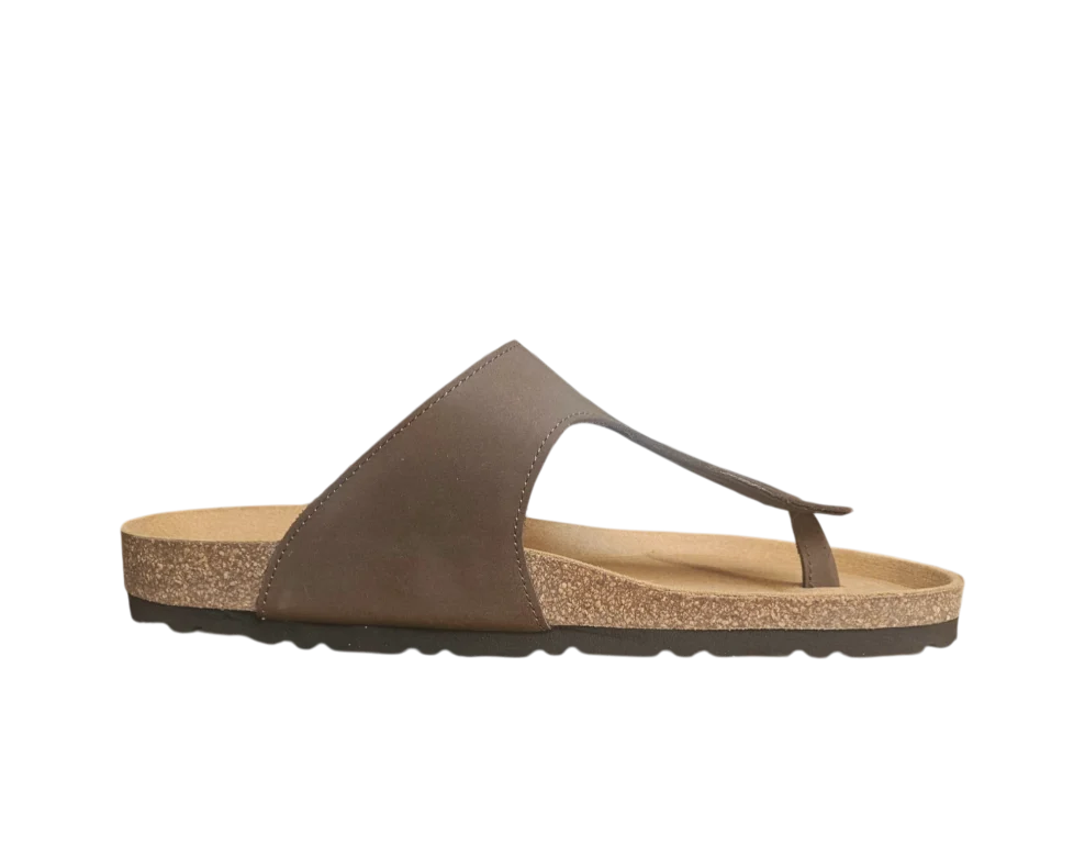 anatomska tabanica pluto japanke